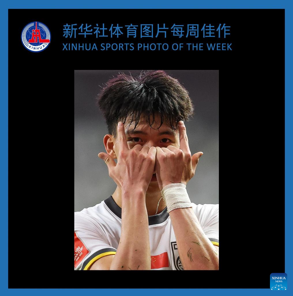 他强调