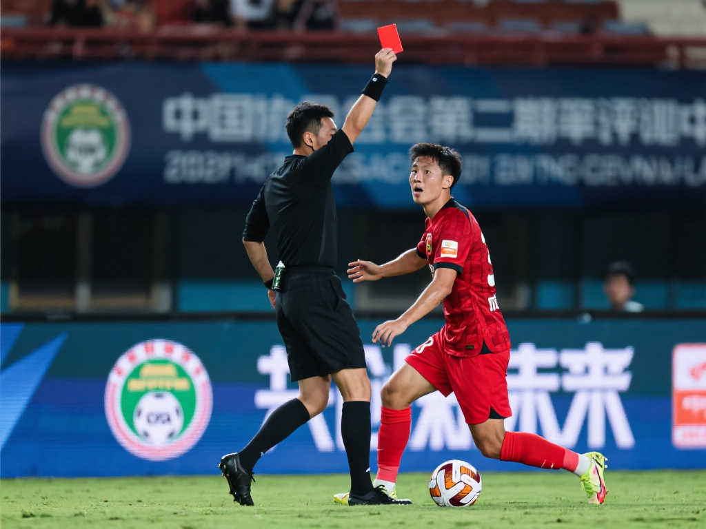 取得了显著 取得了显著